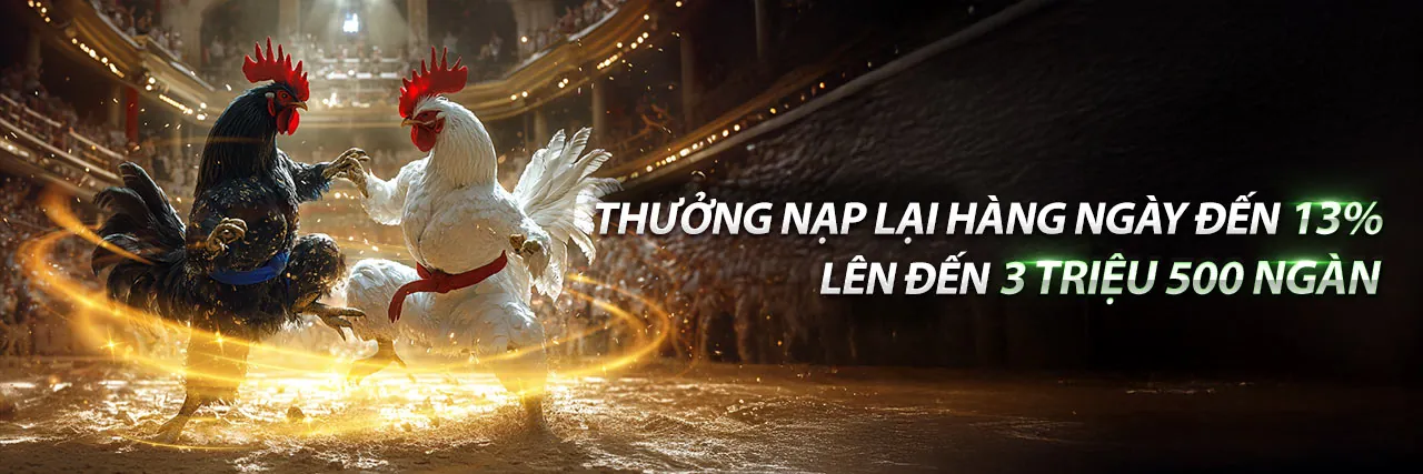 Đá Gà Trực Tuyến Hấp Dẫn tại 87win