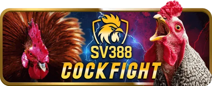 Cá cược thể thao 87win link vào với các môn bóng đá, bóng rổ